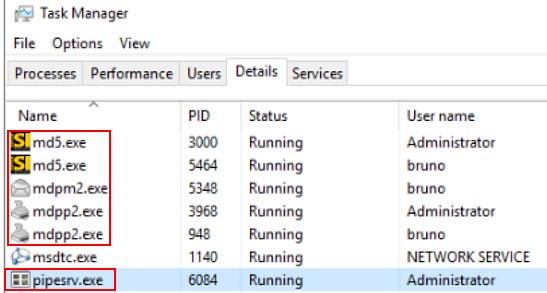 Installation per RDP auf einem Windowsserver
